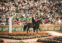 ¡Descubre la Majestuosidad del Caballo Criollo Colombiano en la 65ª EXPOINTERNACIONAL EQUINA – FERIA DE LAS FLORES!