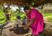 Aventuras Únicas en Belize: Explorando lo Mejor de la Naturaleza y la Cultura